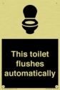 this-toilet-flushes-automatically~
